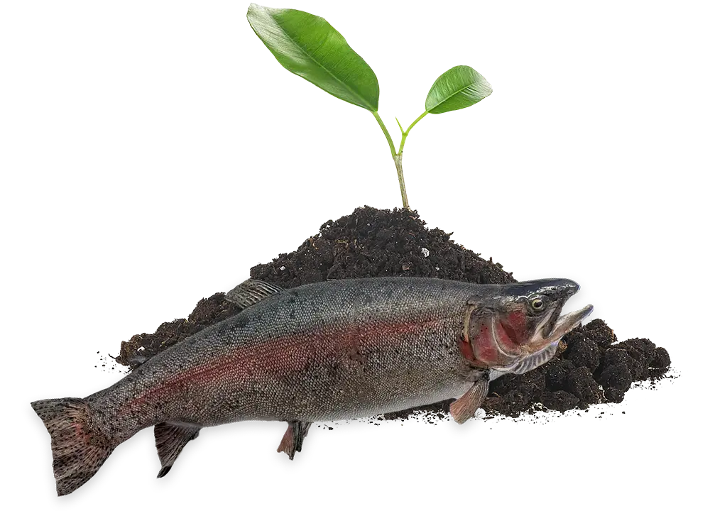 fish-fertilizer-canada